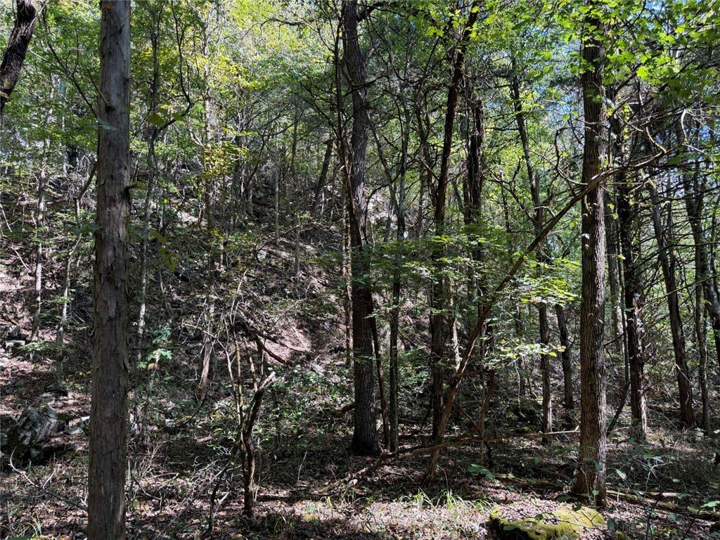 Picture 18