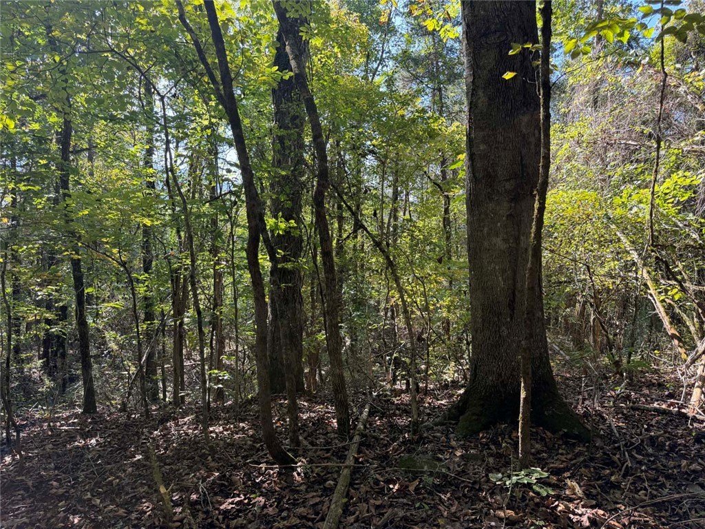Picture 29