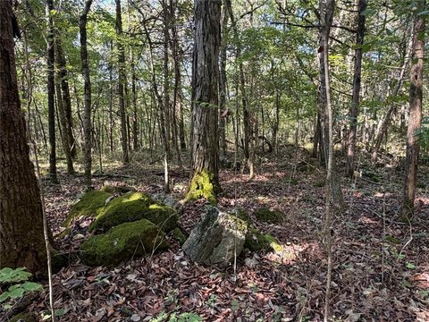 Land, Deer, AR