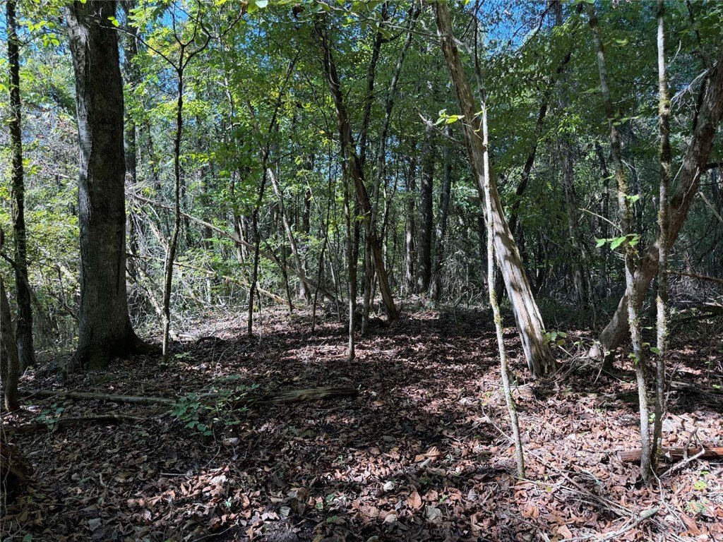 Picture 28