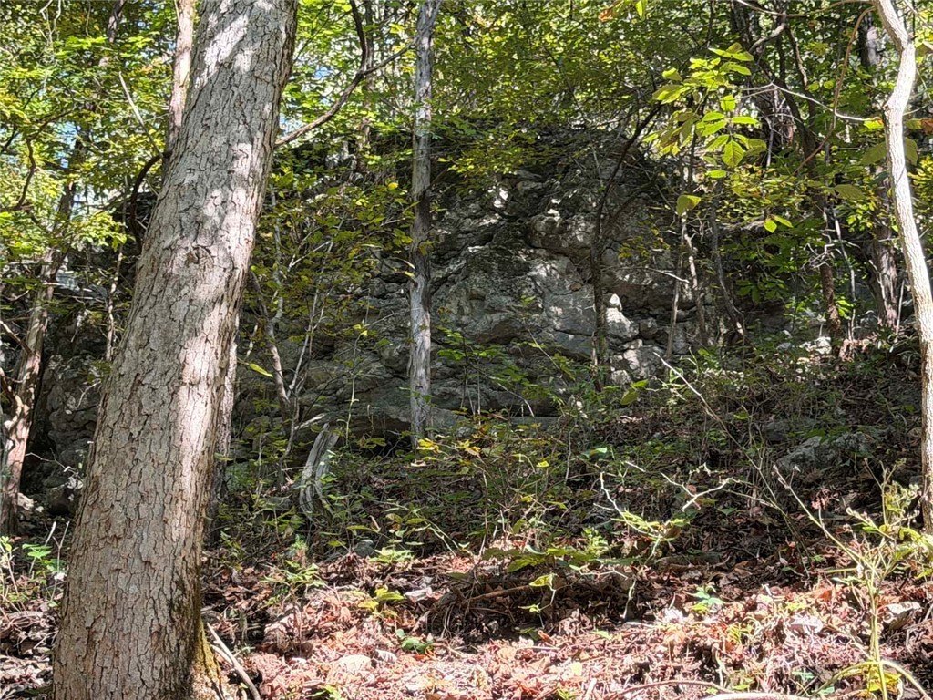 Picture 15
