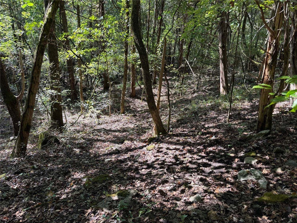 Picture 22