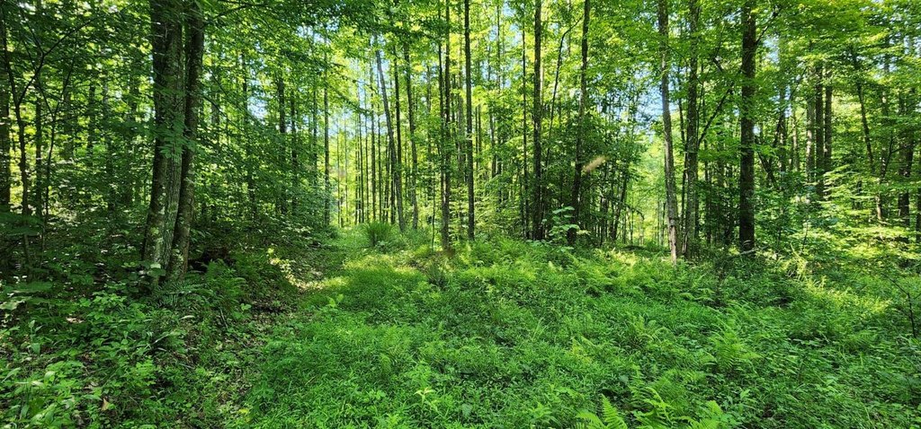 Picture 10