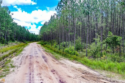Waycross Land with Timber