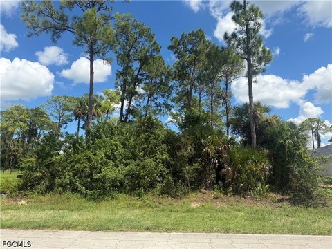 Land, Labelle, FL