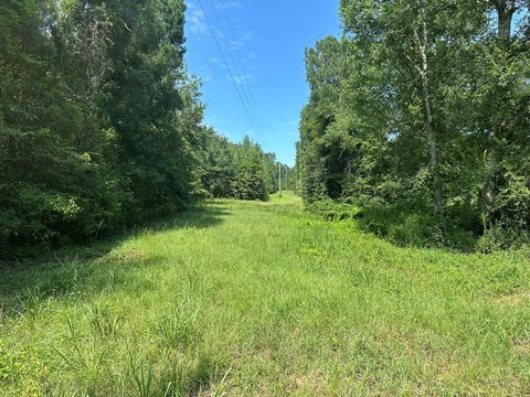 LAND - Abbeville, AL