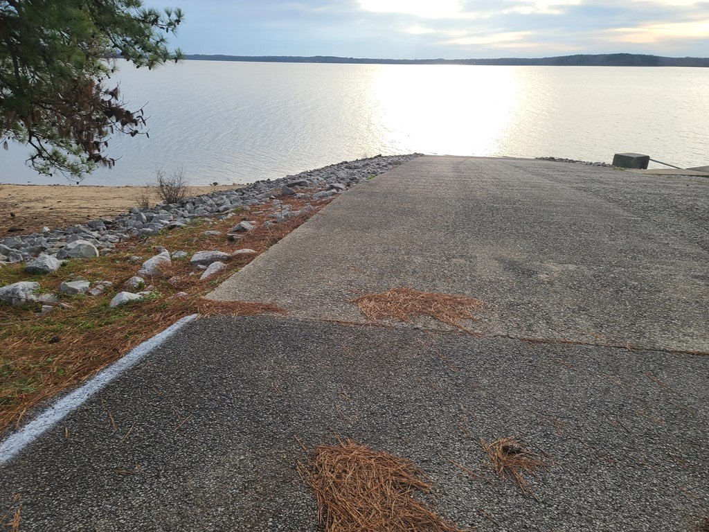 Picture 4