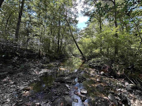 Secluded Land Tract in Mena