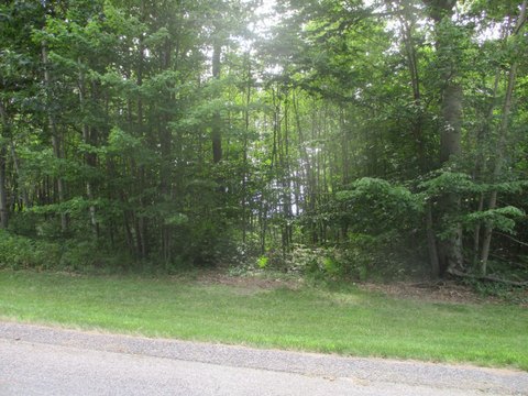 Wooded Lot Near Portage Lake