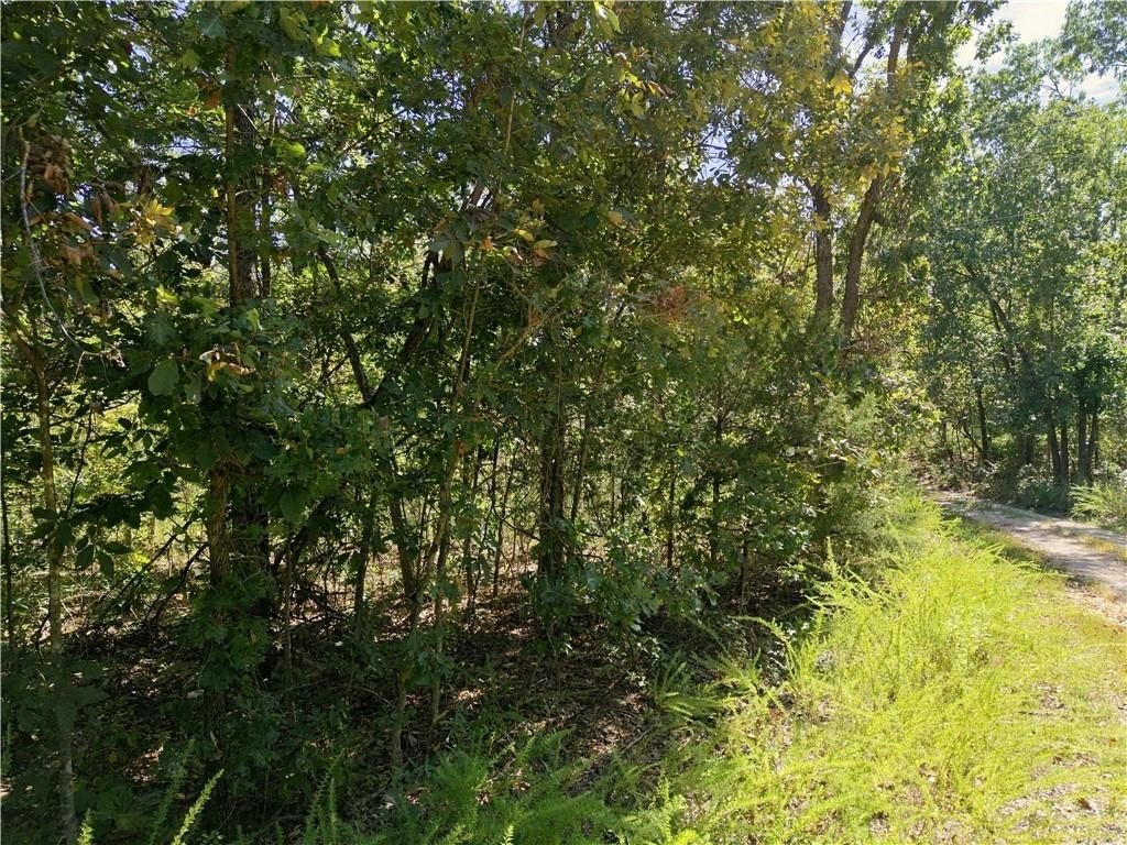 Picture 14