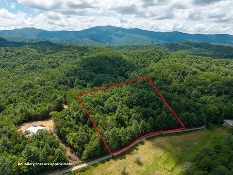 LAND - McCaysville, GA