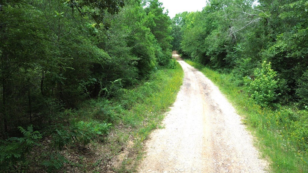 Picture 18