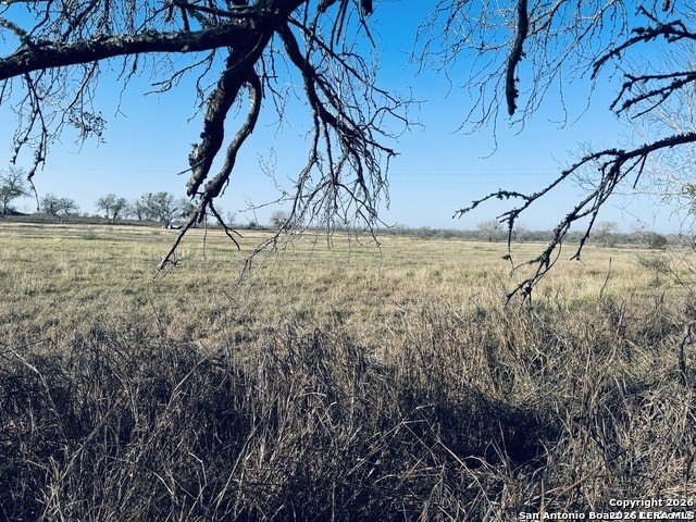Picture 22