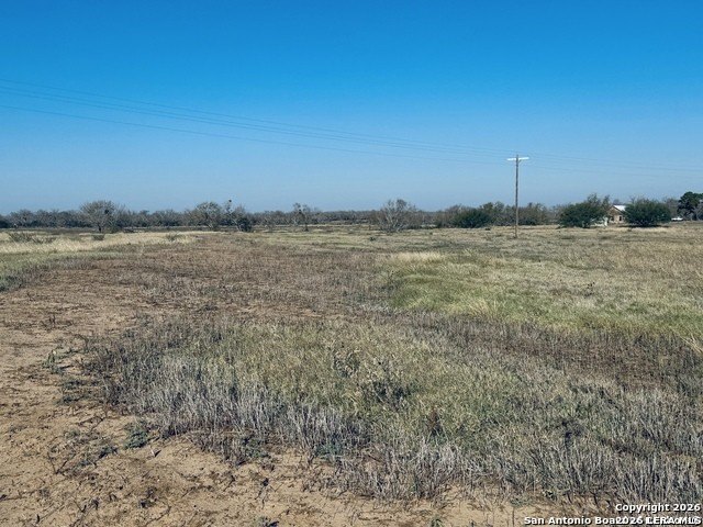 Picture 15