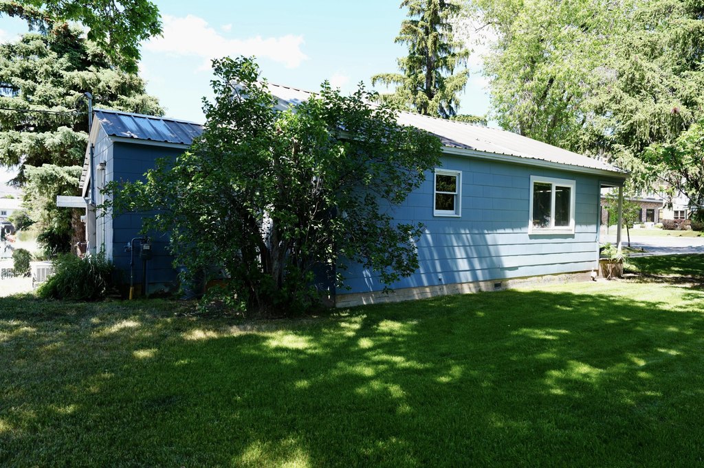 Picture 6