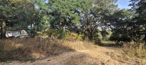 LAND - UMATILLA, FL