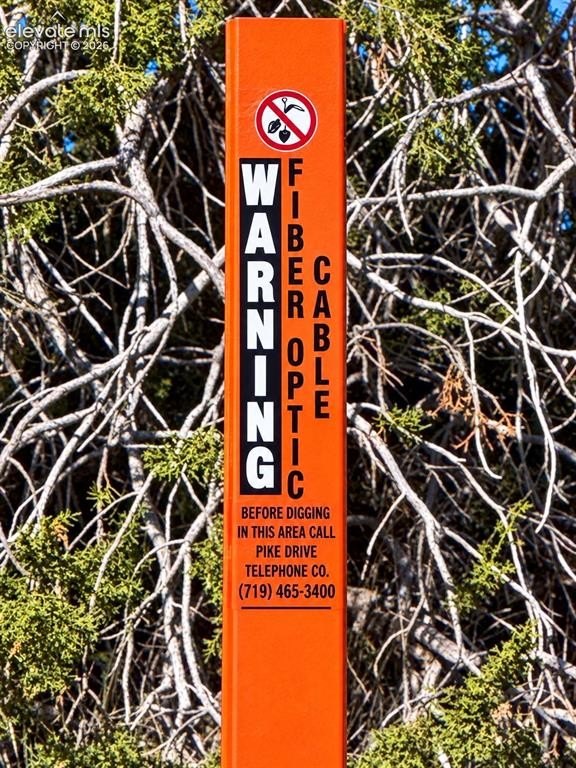 Picture 36