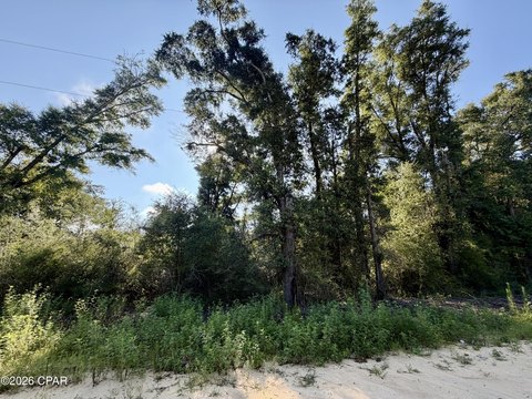 Land, Alford, FL