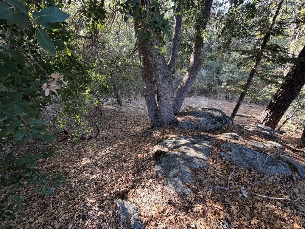 Picture 33