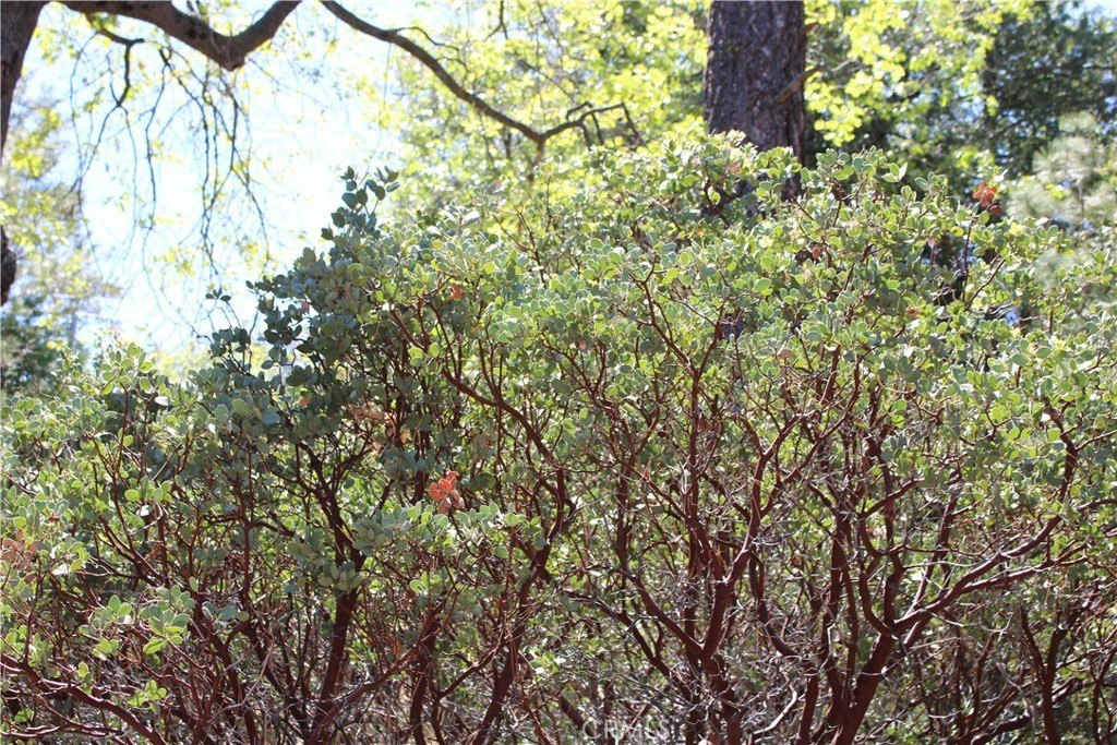 Picture 7