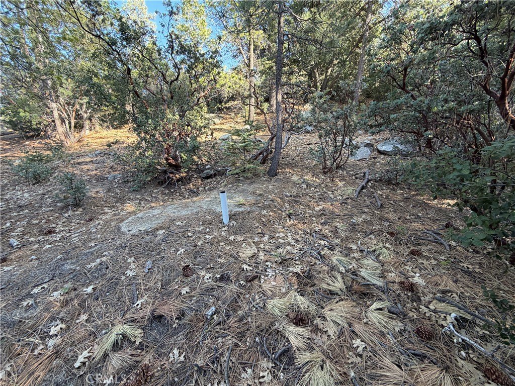 Picture 26