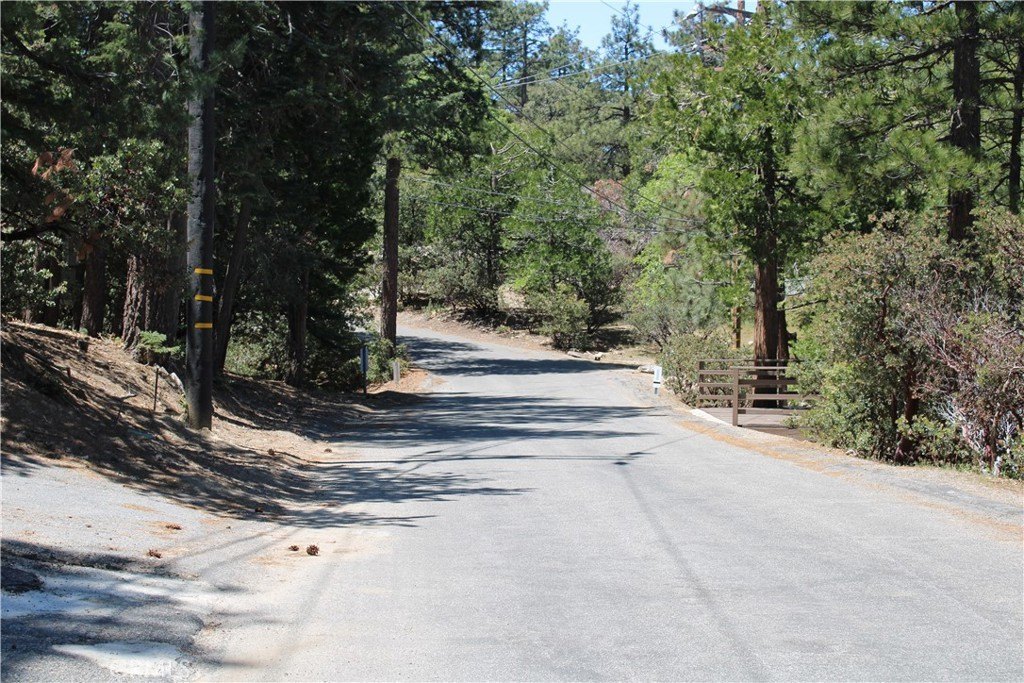 Picture 17