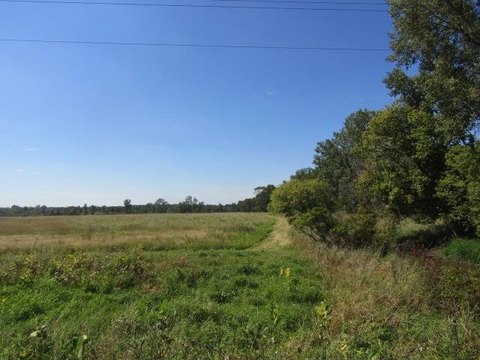 Maple River Building Site