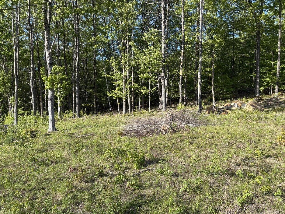 Picture 25