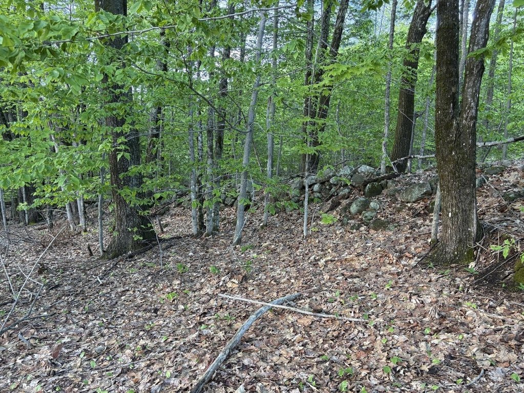 Picture 20