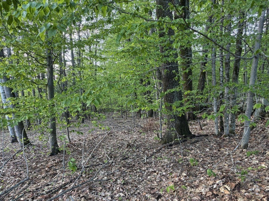 Picture 24
