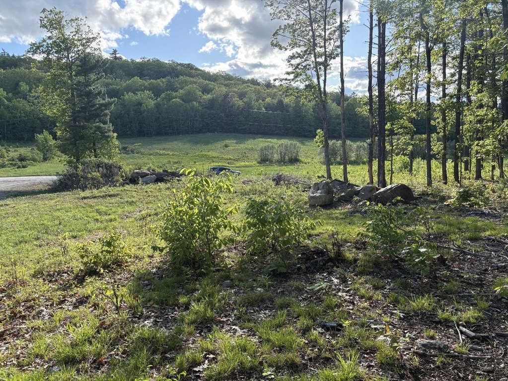 Picture 22
