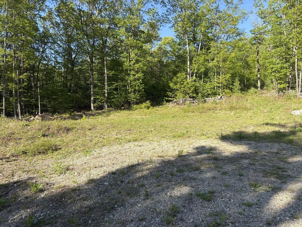 Picture 19