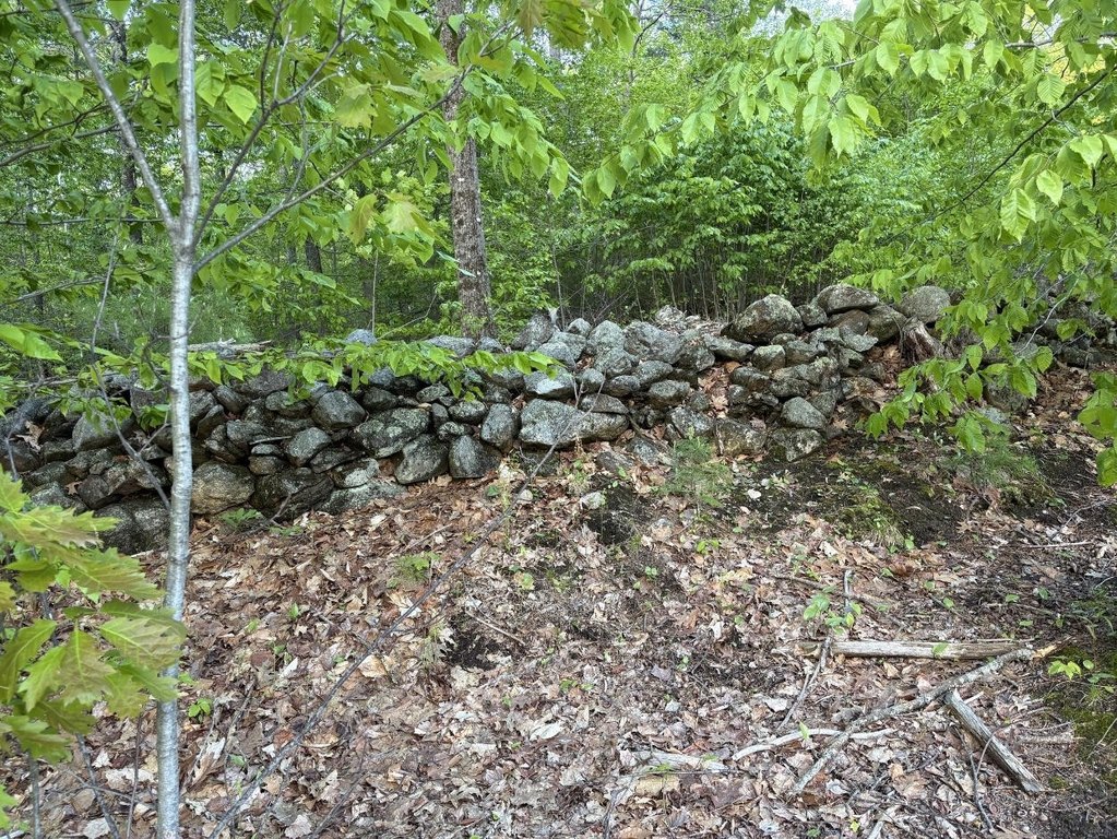 Picture 21