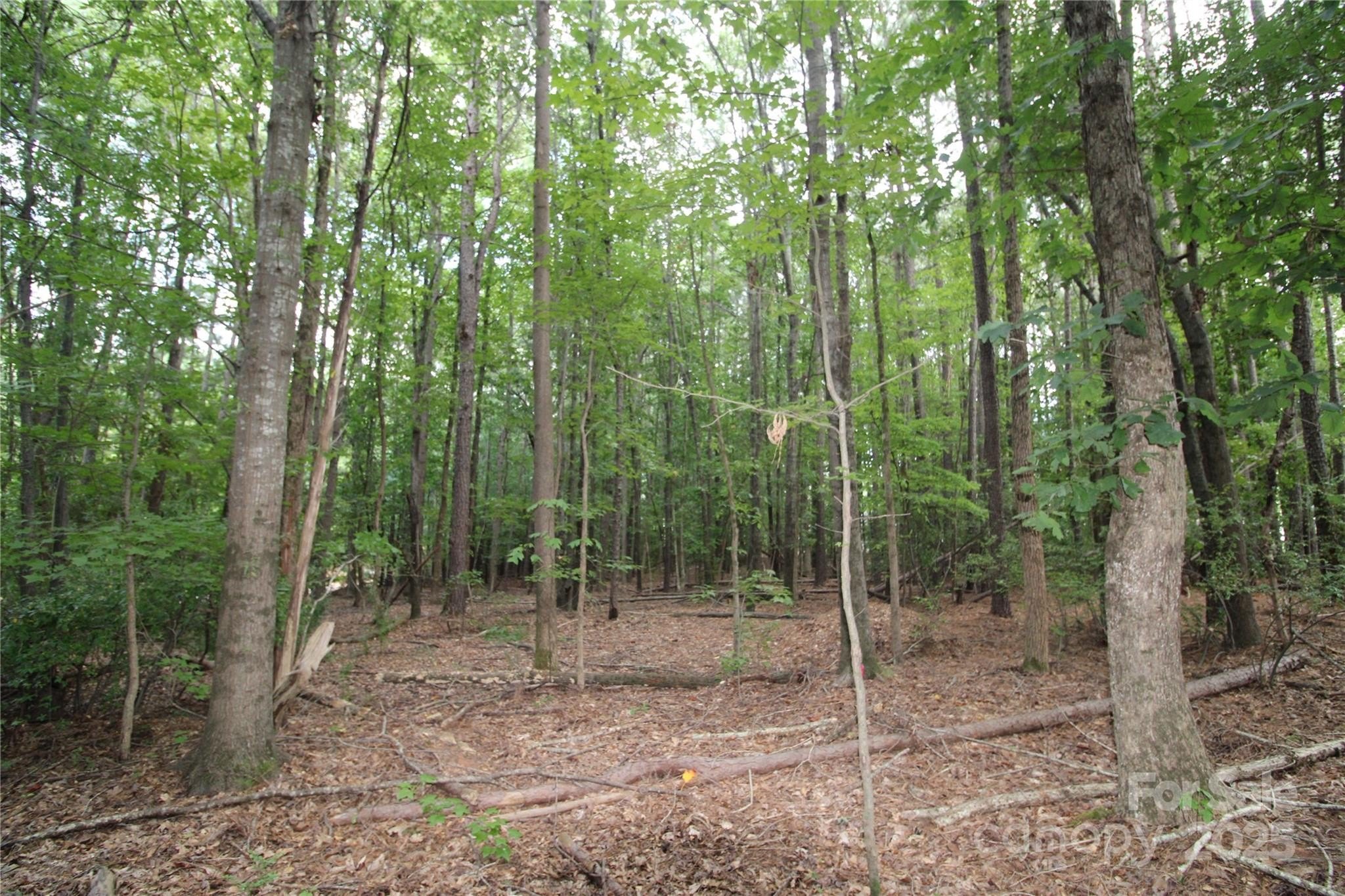 Rock Hill Acreage: Build Ready