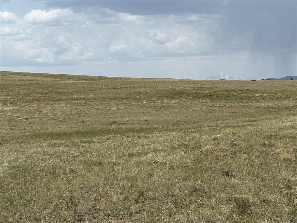 Picture 13