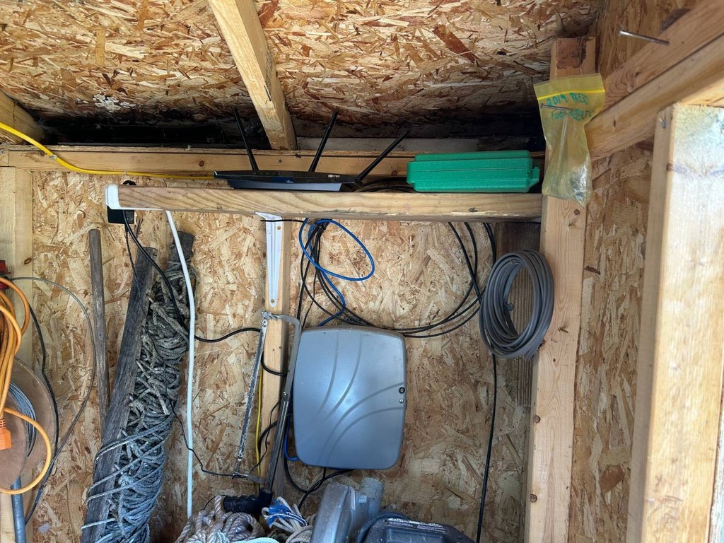 Picture 19