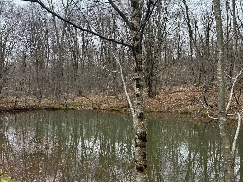 Picture 24