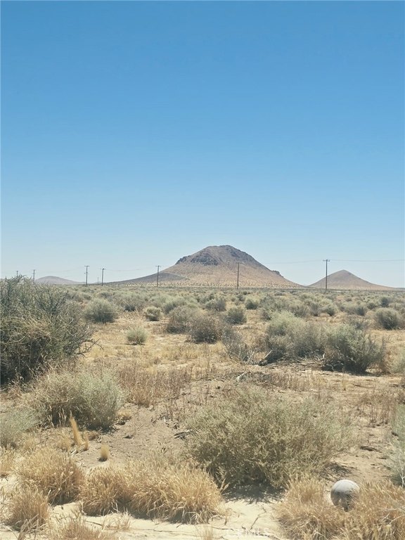 Picture 3