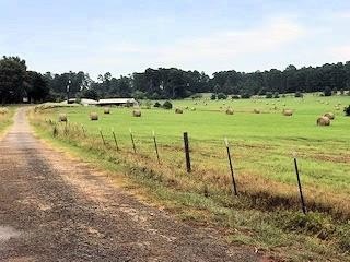 LAND - PALESTINE, TX