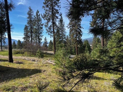 Waterfront-View Residential Building Lot