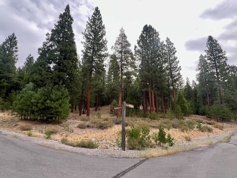 Land, Portola, CA