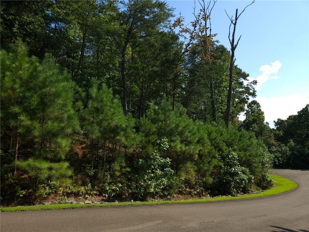 Picture 8