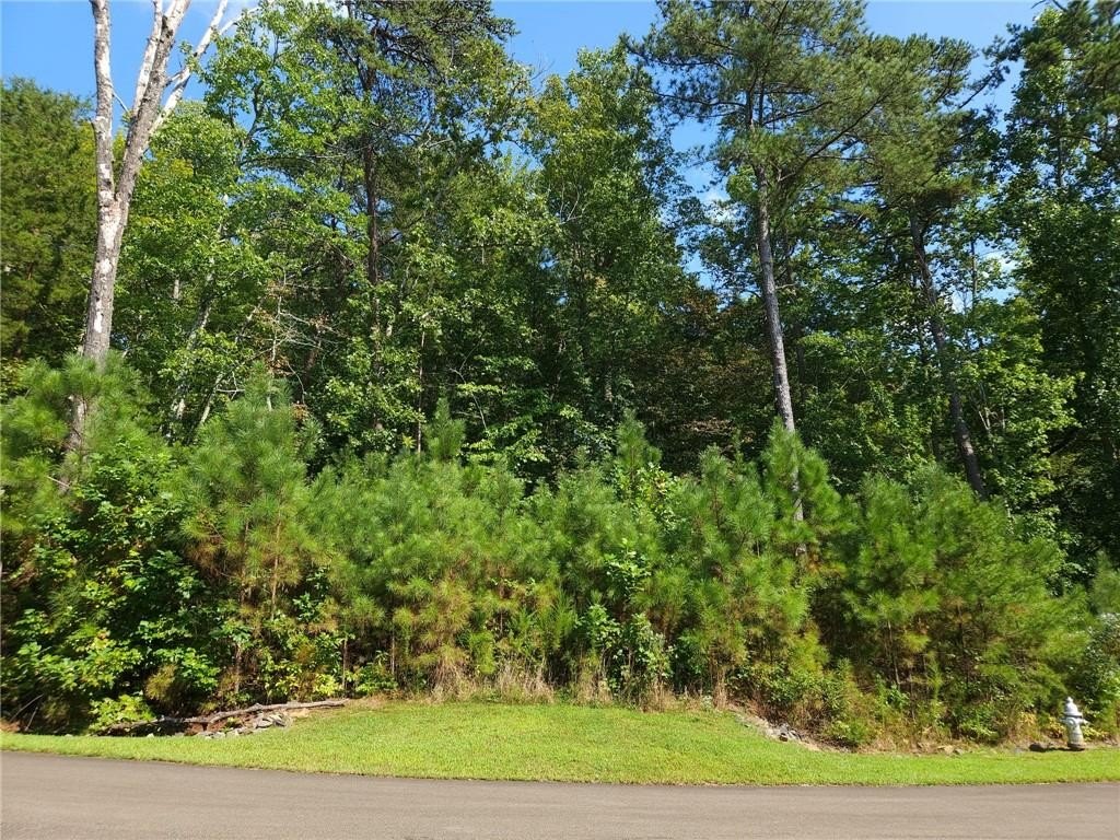 Picture 10