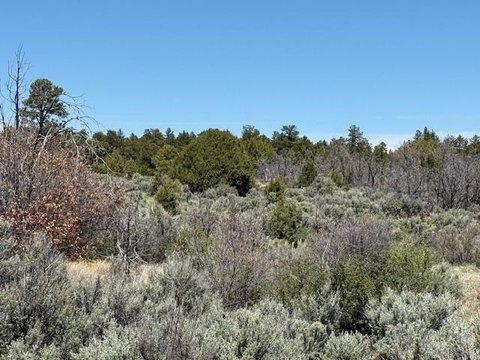 Land Near Carson National Forest
