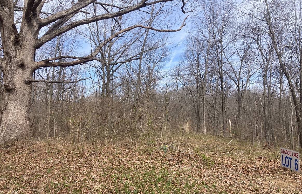 Wooded Acreage with Lake Access