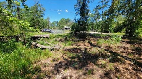 Vacant Land, Holden, LA