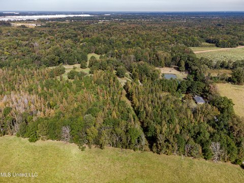 Canton, MS Hunting/Recreation Land