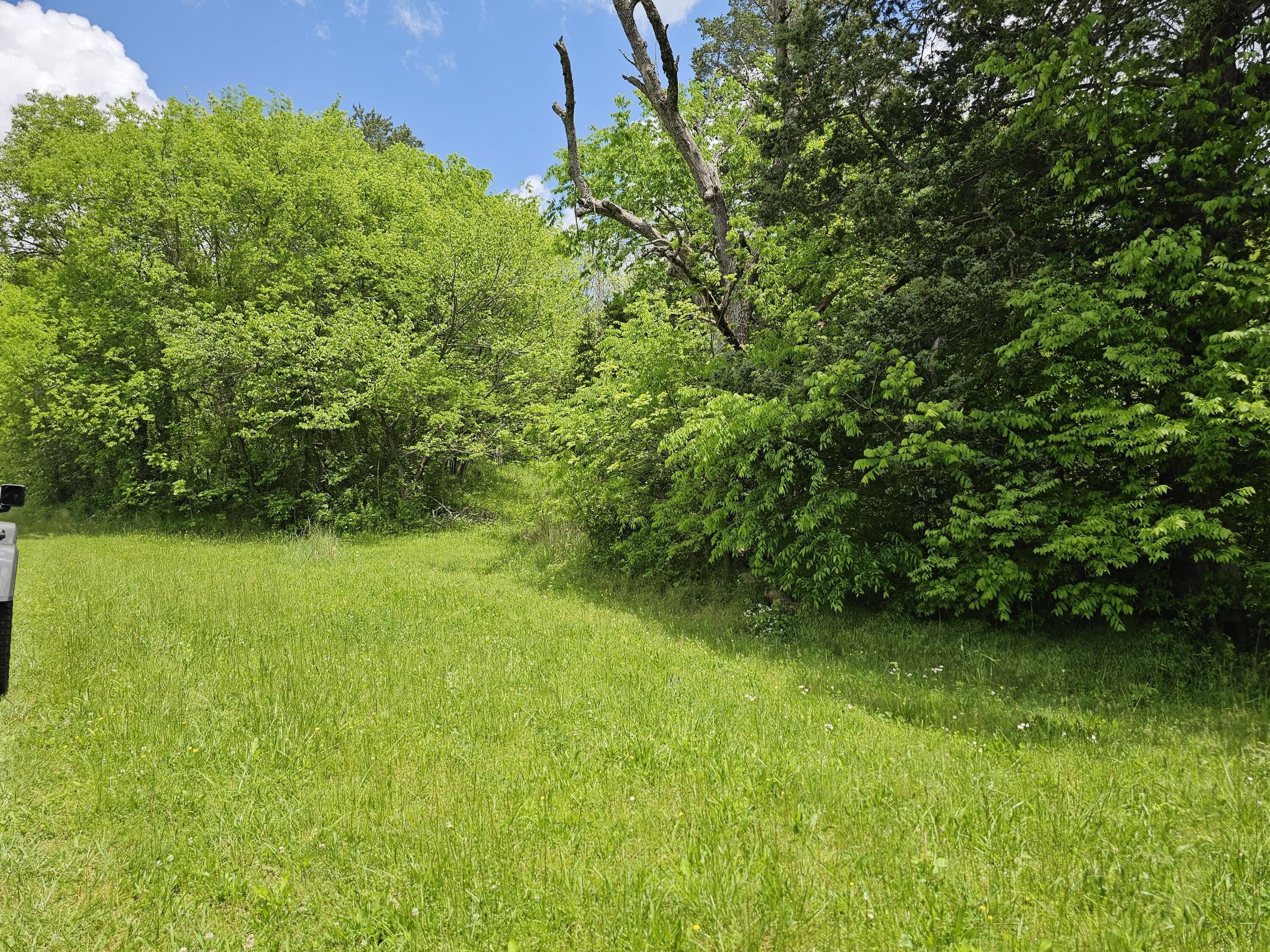 Wooded Land in Parrottsville, TN