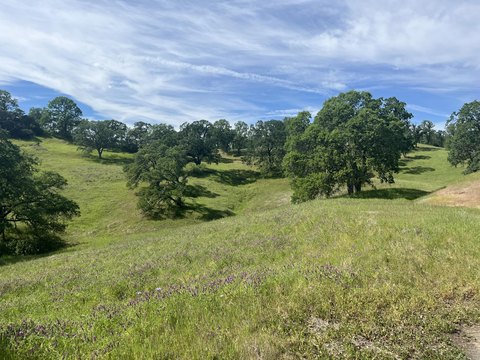 LAND - Cottonwood, CA