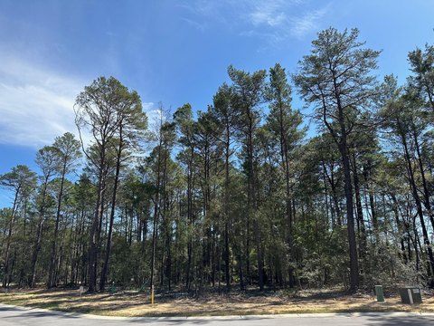 Spacious Lot in Deer Moss Creek